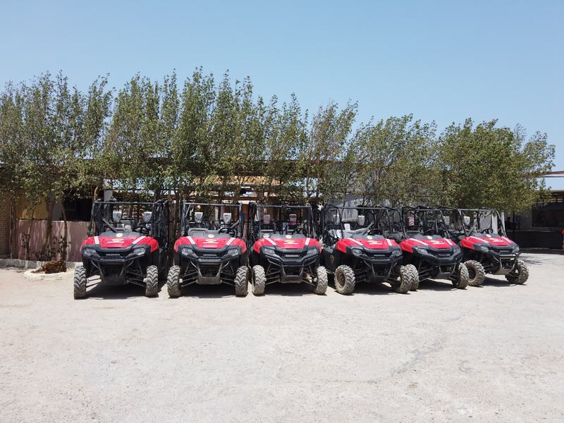 Our buggy fleet at the station