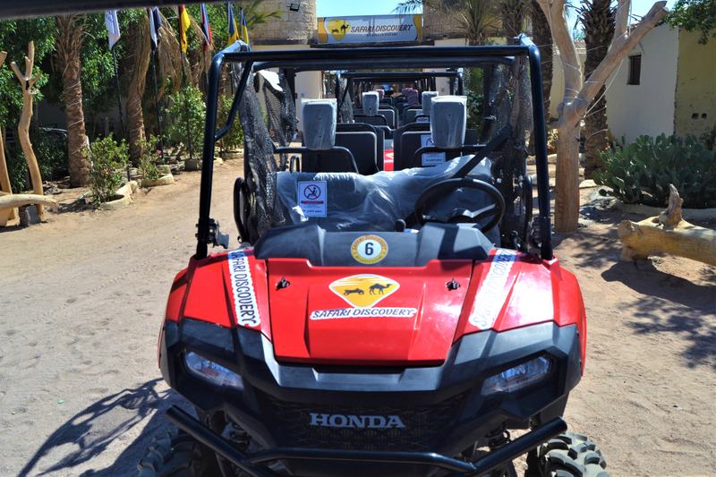 Lotus Safari buggy ready to ride