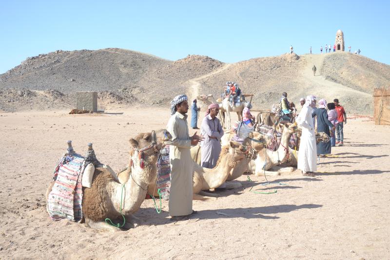 Camel caravan at the Bedouin village