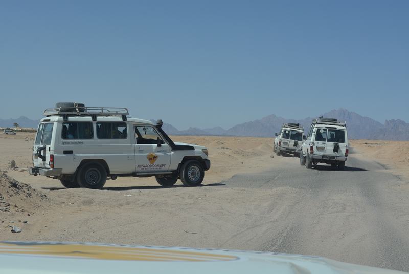 Jeep Safari — Dinner & Show