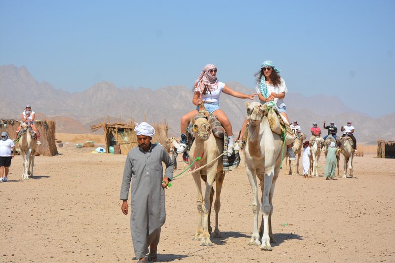 Camel caravan at the Bedouin village