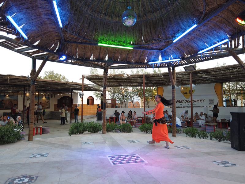 Tanoura dancer on the show stage